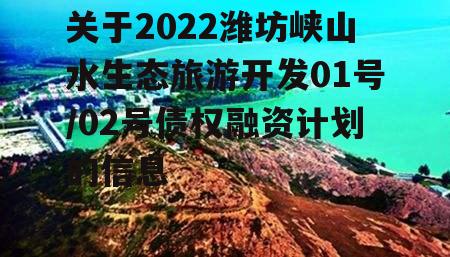 关于2022潍坊峡山水生态旅游开发01号/02号债权融资计划的信息