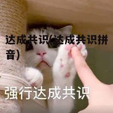 达成共识(达成共识拼音)