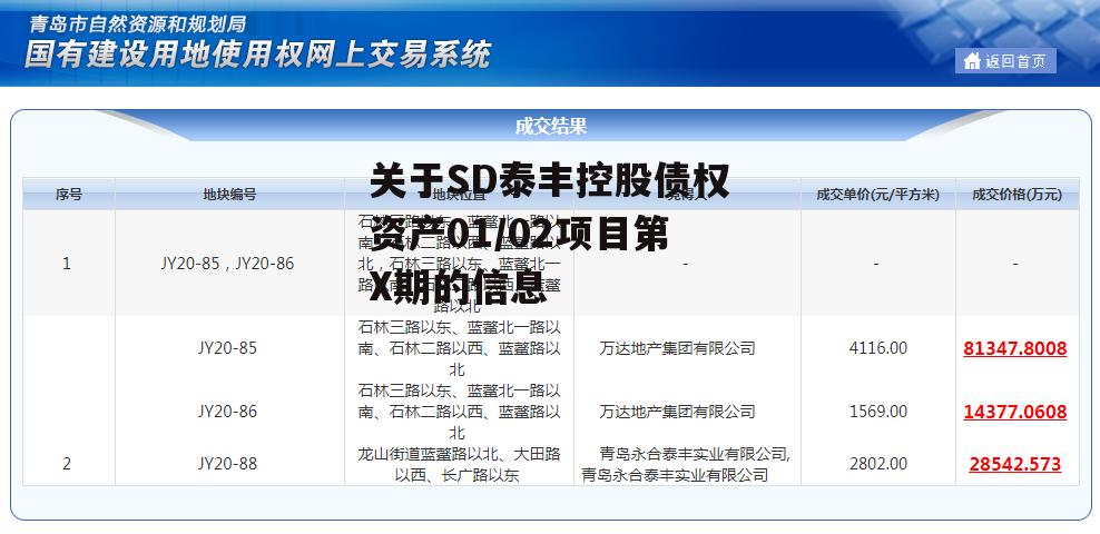 关于SD泰丰控股债权资产01/02项目第X期的信息