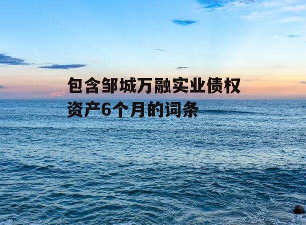 包含邹城万融实业债权资产6个月的词条