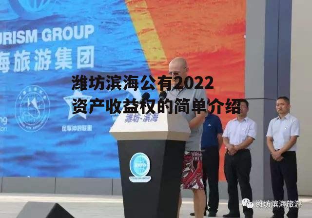 潍坊滨海公有2022资产收益权的简单介绍