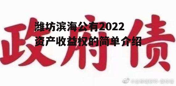 潍坊滨海公有2022资产收益权的简单介绍