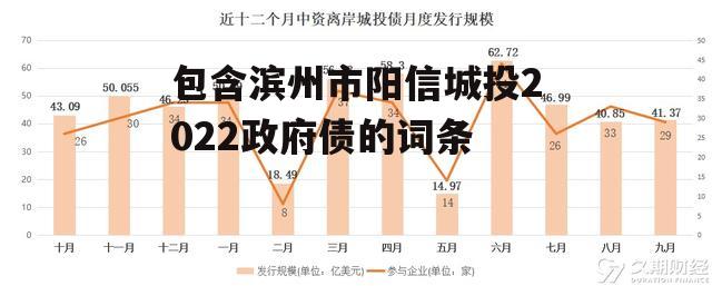 包含滨州市阳信城投2022政府债的词条