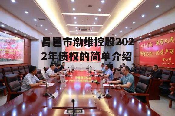 昌邑市渤维控股2022年债权的简单介绍