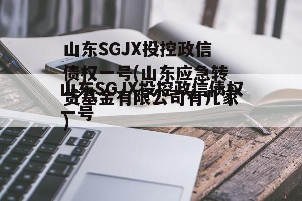 山东SGJX投控政信债权一号(山东应急转贷基金有限公司有几家)