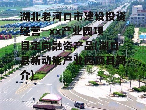 湖北老河口市建设投资经营--xx产业园项目定向融资产品(湖口县新动能产业园项目简介)