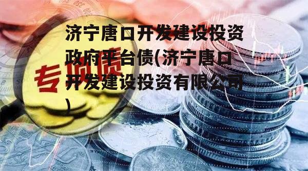 济宁唐口开发建设投资政府平台债(济宁唐口开发建设投资有限公司)