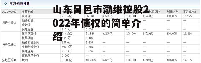 山东昌邑市渤维控股2022年债权的简单介绍