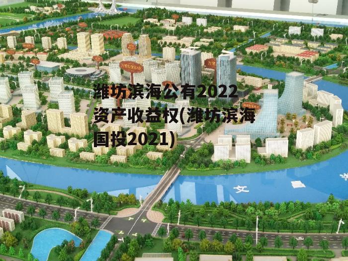 潍坊滨海公有2022资产收益权(潍坊滨海国投2021)