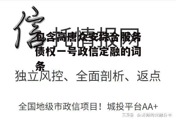 包含高唐众安综合服务债权一号政信定融的词条