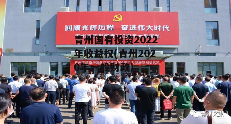 青州国有投资2022年收益权(青州2020年一般财政)