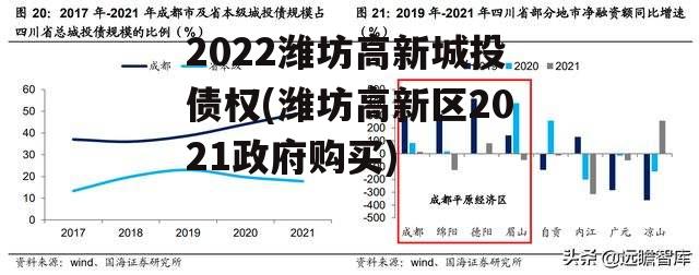 2022潍坊高新城投债权(潍坊高新区2021政府购买)