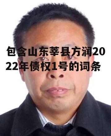 包含山东莘县方润2022年债权1号的词条