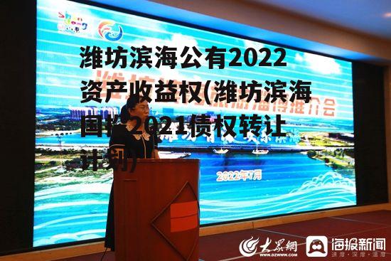 潍坊滨海公有2022资产收益权(潍坊滨海国投2021债权转让计划)