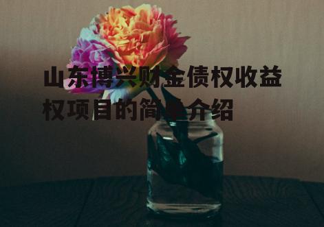 山东博兴财金债权收益权项目的简单介绍