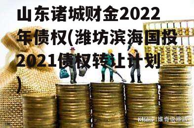 山东诸城财金2022年债权(潍坊滨海国投2021债权转让计划)