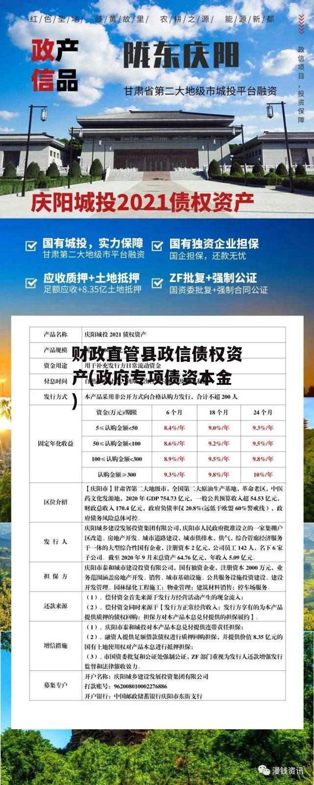 财政直管县政信债权资产(政府专项债资本金)