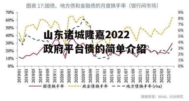 山东诸城隆嘉2022政府平台债的简单介绍