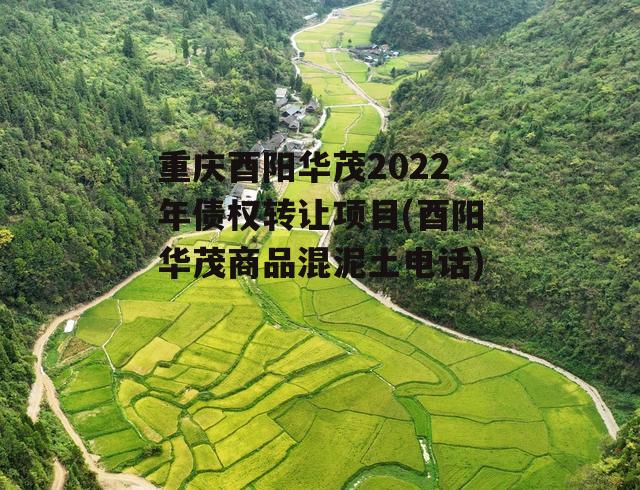 重庆酉阳华茂2022年债权转让项目(酉阳华茂商品混泥土电话)