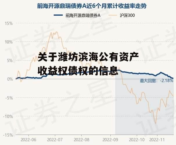 关于潍坊滨海公有资产收益权债权的信息