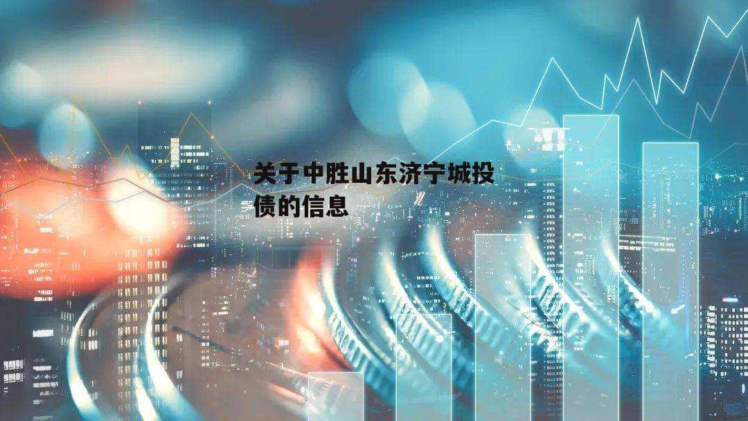 关于中胜山东济宁城投债的信息