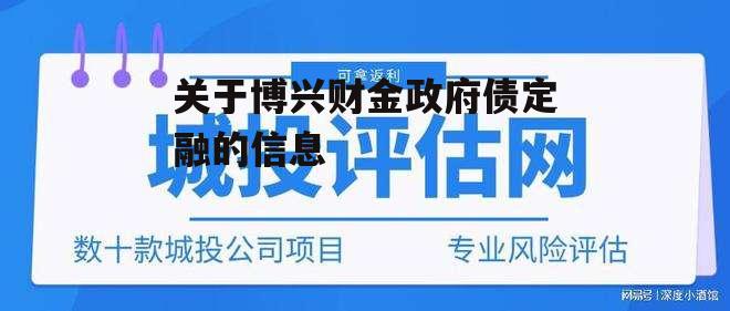 关于博兴财金政府债定融的信息