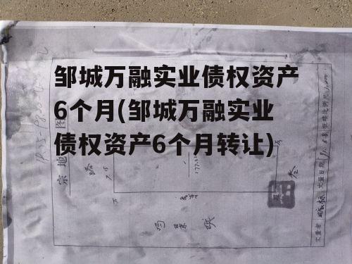 邹城万融实业债权资产6个月(邹城万融实业债权资产6个月转让)