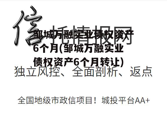 邹城万融实业债权资产6个月(邹城万融实业债权资产6个月转让)