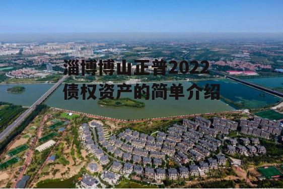 淄博博山正普2022债权资产的简单介绍