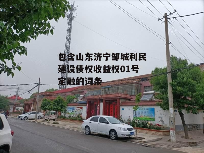 包含山东济宁邹城利民建设债权收益权01号定融的词条