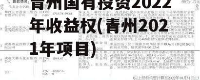 青州国有投资2022年收益权(青州2021年项目)