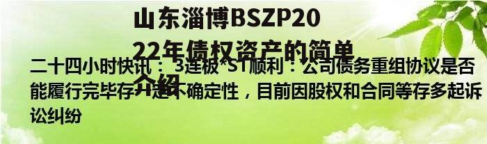 山东淄博BSZP2022年债权资产的简单介绍