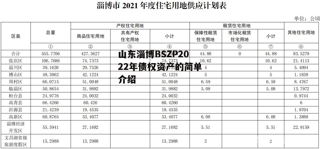 山东淄博BSZP2022年债权资产的简单介绍