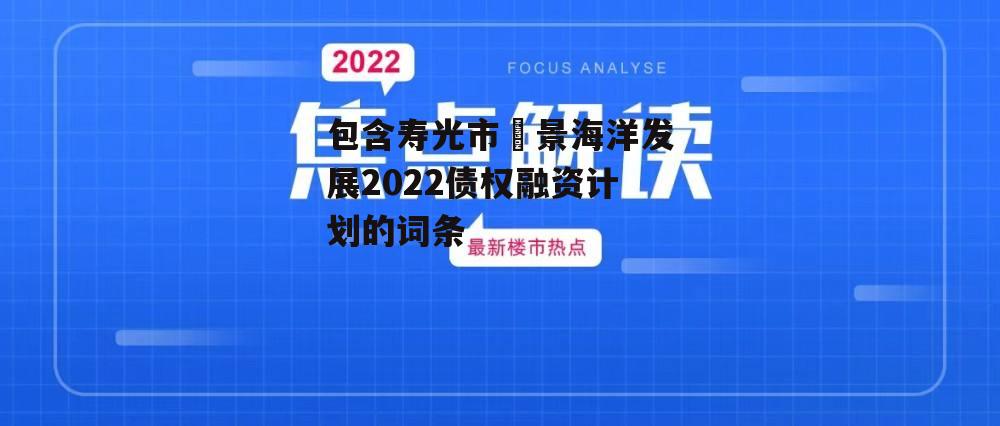 包含寿光市昇景海洋发展2022债权融资计划的词条