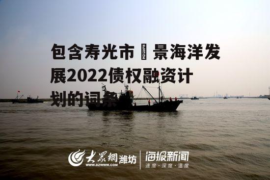 包含寿光市昇景海洋发展2022债权融资计划的词条