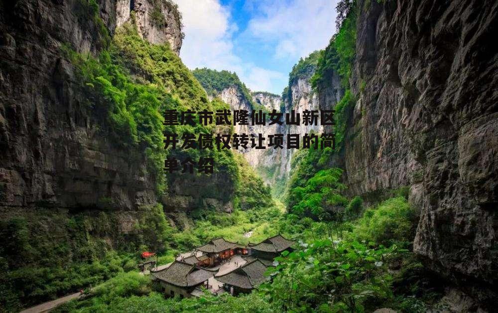 重庆市武隆仙女山新区开发债权转让项目的简单介绍