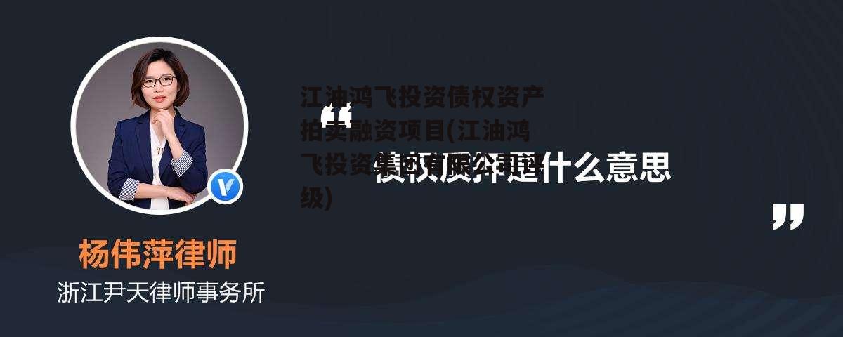 江油鸿飞投资债权资产拍卖融资项目(江油鸿飞投资集团有限公司评级)