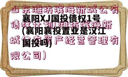 襄阳XJ国投债权1号(襄阳襄投置业是汉江国投吗)