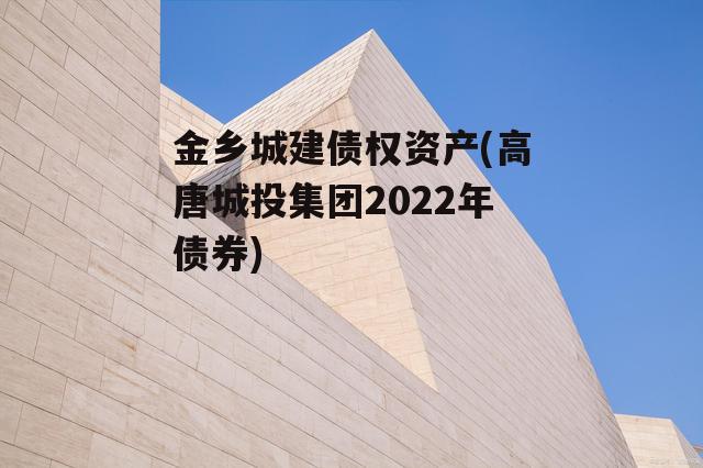 金乡城建债权资产(高唐城投集团2022年债券)