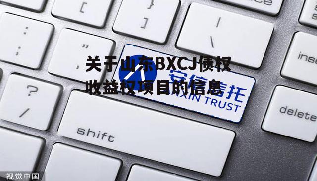 关于山东BXCJ债权收益权项目的信息