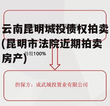 云南昆明城投债权拍卖(昆明市法院近期拍卖房产)