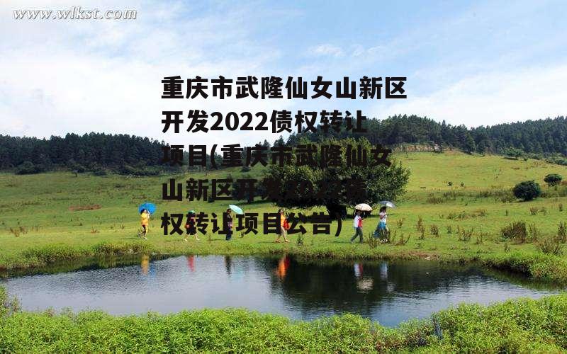 重庆市武隆仙女山新区开发2022债权转让项目(重庆市武隆仙女山新区开发2022债权转让项目公告)