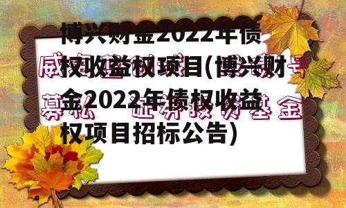 博兴财金2022年债权收益权项目(博兴财金2022年债权收益权项目招标公告)