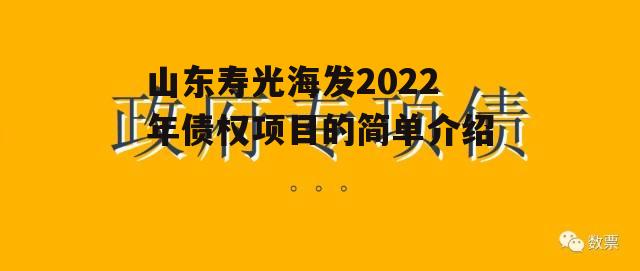 山东寿光海发2022年债权项目的简单介绍