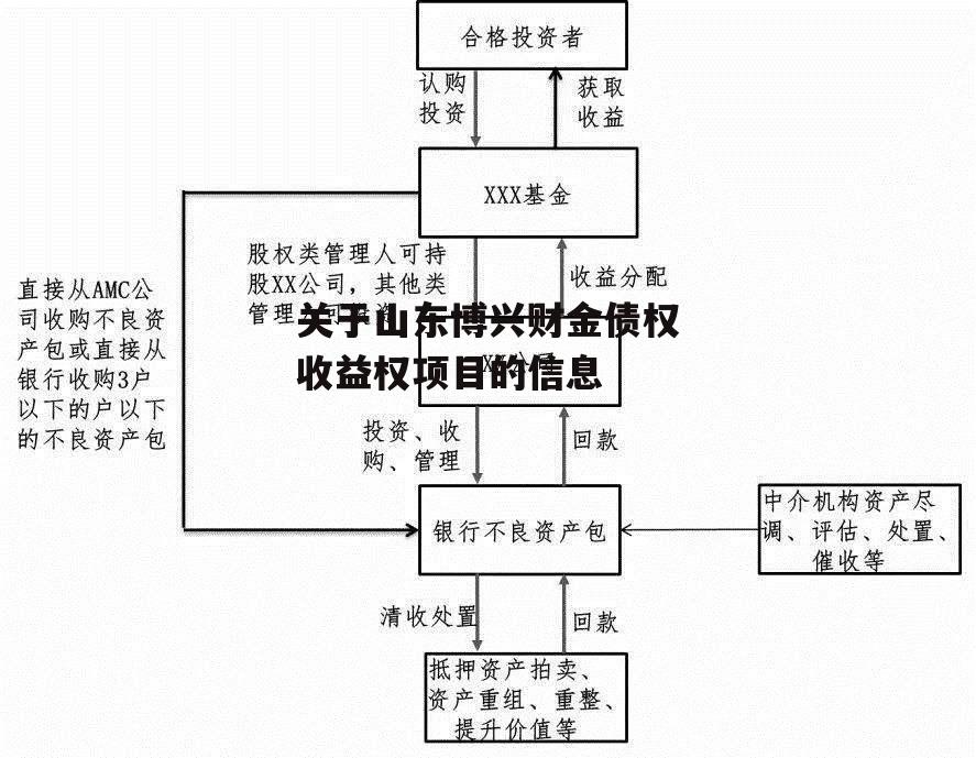 关于山东博兴财金债权收益权项目的信息