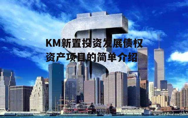 KM新置投资发展债权资产项目的简单介绍