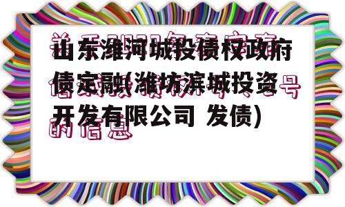 山东潍河城投债权政府债定融(潍坊滨城投资开发有限公司 发债)