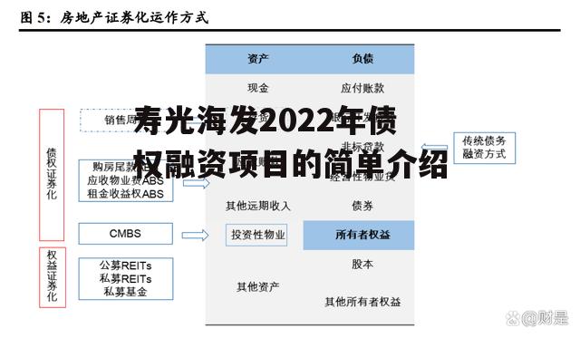 寿光海发2022年债权融资项目的简单介绍