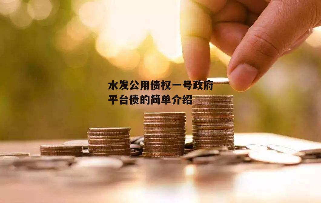 水发公用债权一号政府平台债的简单介绍