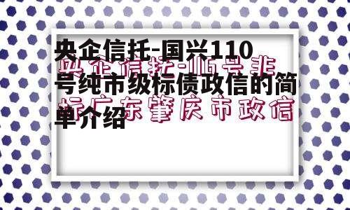 央企信托-国兴110号纯市级标债政信的简单介绍